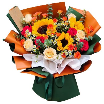 �żҿڹ�Դ�ػ���